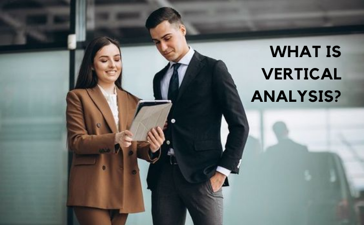  What is Vertical Analysis?