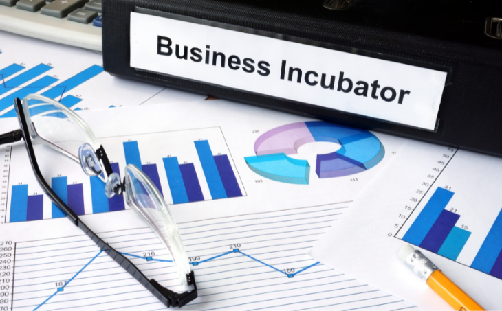  What is Business Incubator?