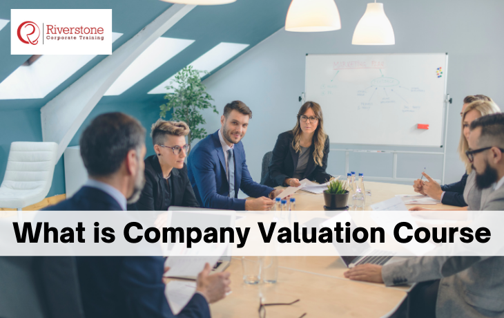  What is Company Valuation Course