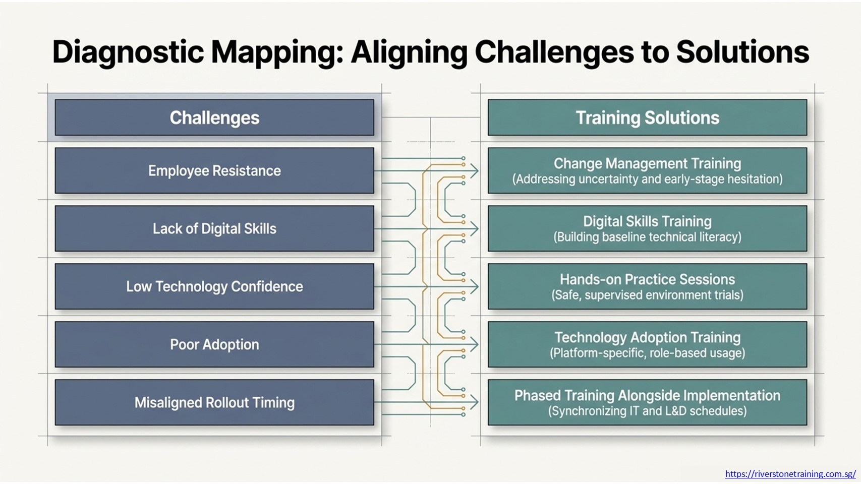 Digital Skills Training